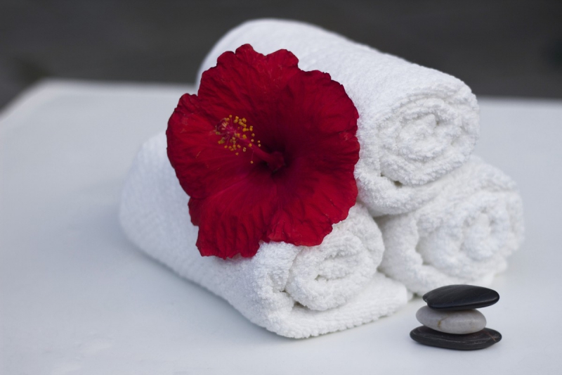 hotel-MANDELIEU LA NAPOULE-min_towel_hibiscus_clean_care_salon_spa_white_bath-869834