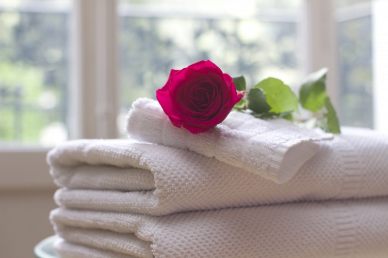 hotel-MANDELIEU LA NAPOULE-min_towel_rose_clean_care_salon_spa_white_bath-731641